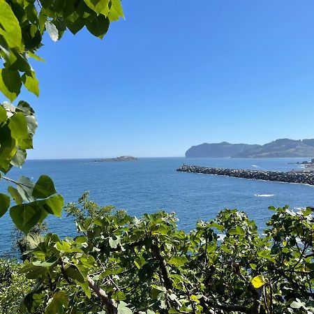 Апартаменты Bertoko Urdaibai II Бермео Экстерьер фото